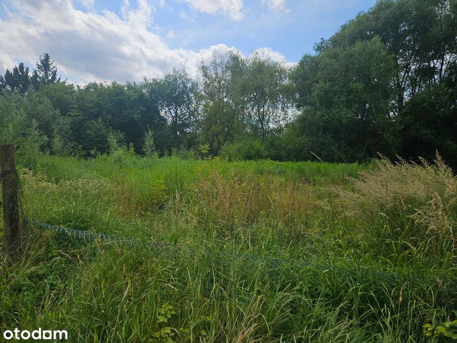 Działka budowlana 808 m² przy jeziorze Pogoria III, Dąbrowa Górnicza - Widok 4