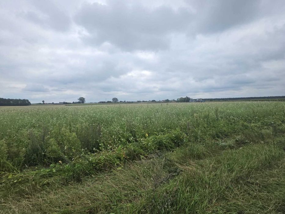 Działa w otoczeniu natury! - Widok 3