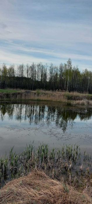 Іванківська ОТГ, панський маєток з озерами і ділянкою 4.50 га.