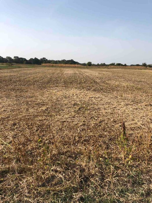 (3) Продам земельну ділянку в Писарівці 1736