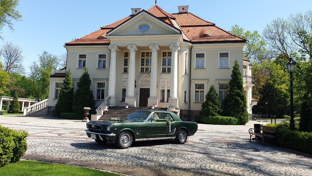 Auto d ślubu Mustang wynajem samochód na wesele Kalisz Warszawa Poznań