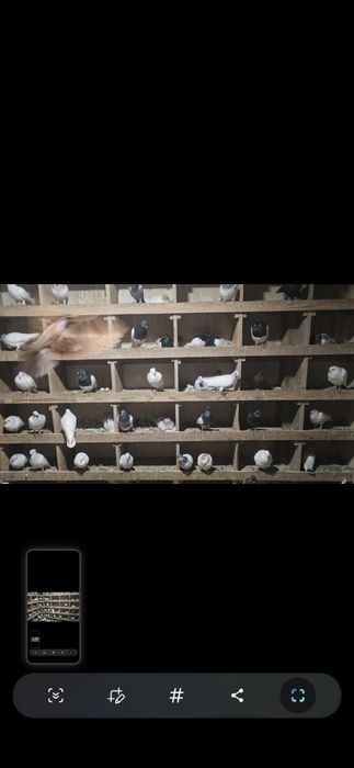 Lot około 110 sztuk