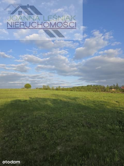 Działka, Hucisko