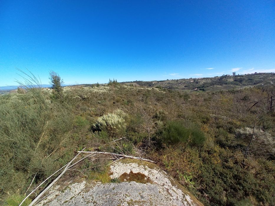Terreno Rustico - 2.5 hectares - Travanca de Lagos