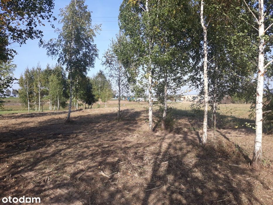 Działka Rolna 3200 m² Warmia-Mazury - View 2