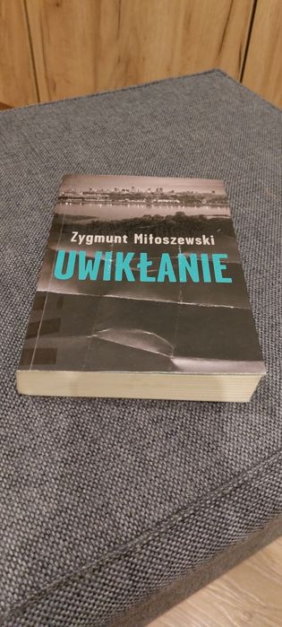 Uwikłanie Zygmunt Miłoszewski