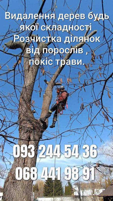 Висотні роботи , Видалення дерев