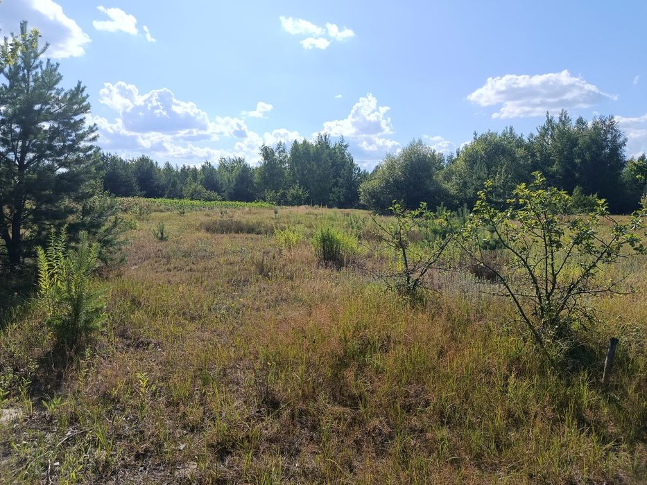 Продам 15-сот під забудову село.Сінгурі р-н новобудов