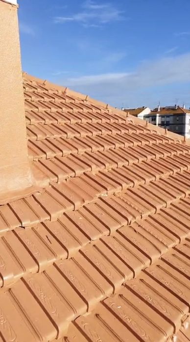 Lavagem e revitalização de telhado – 800€ com material