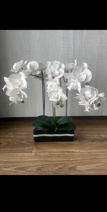 Home and you stroik glamour