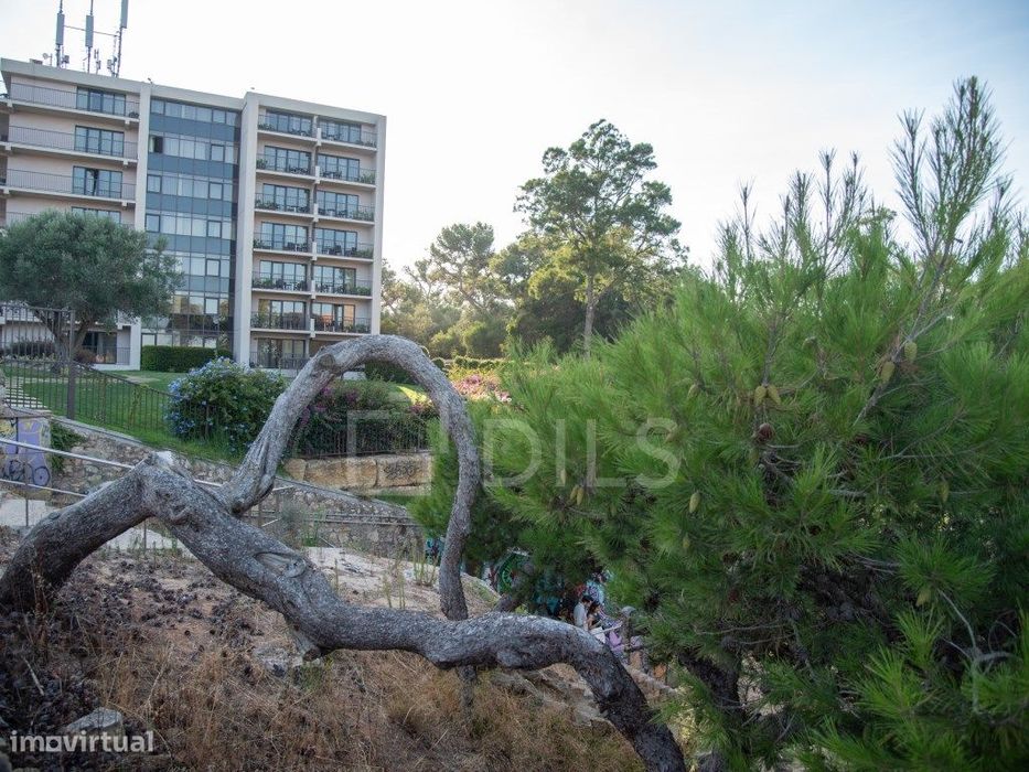Moradia T3 em Cascais para reabilitação total, com projeto aprovado