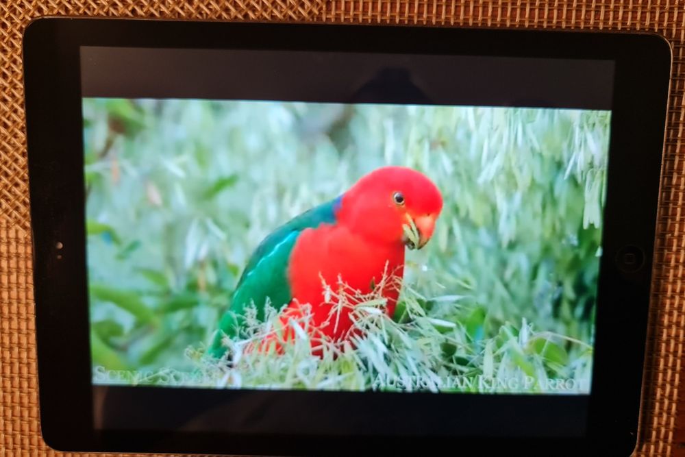 Apple IPad Air A1474 16Gb Tablet Gwiezdna Szarość BDB