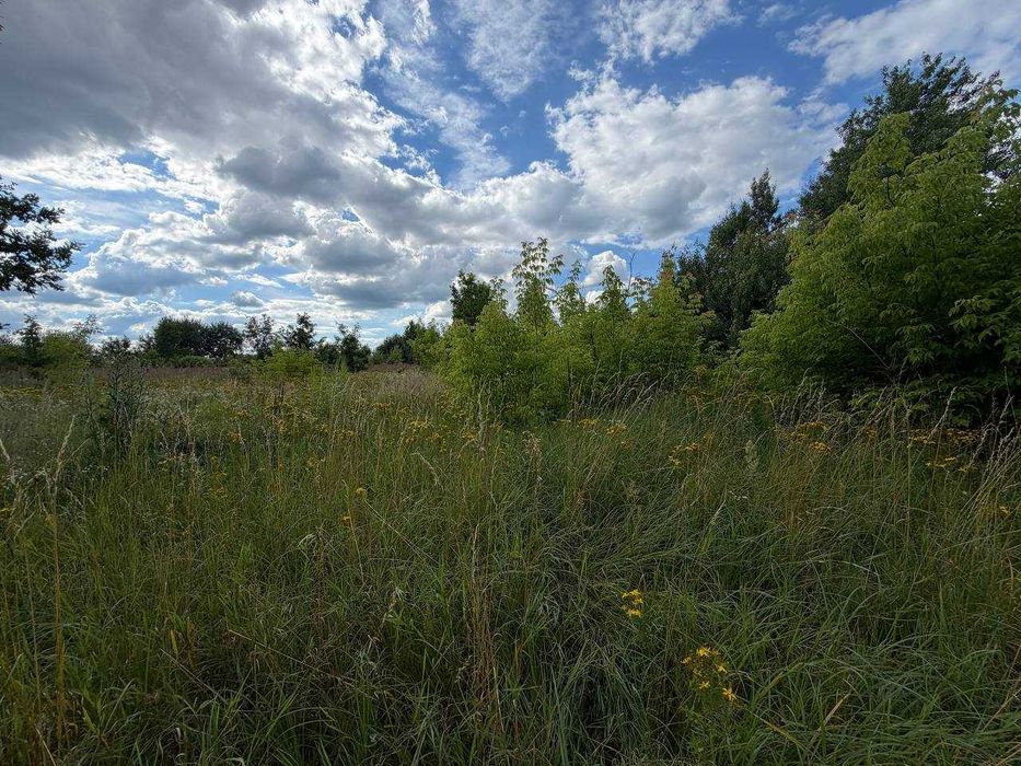 Продаж ділянки 15 соток під забудову. Електрика поруч. Біля озера. ID:792