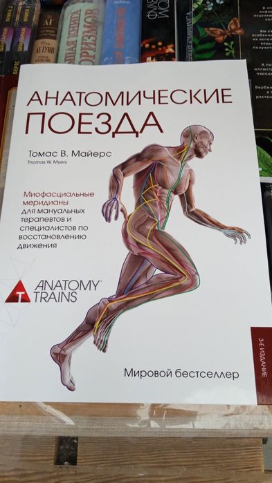 Йога: Анатомия АСАН, Анатомические поезда. Чёрно-белые илл