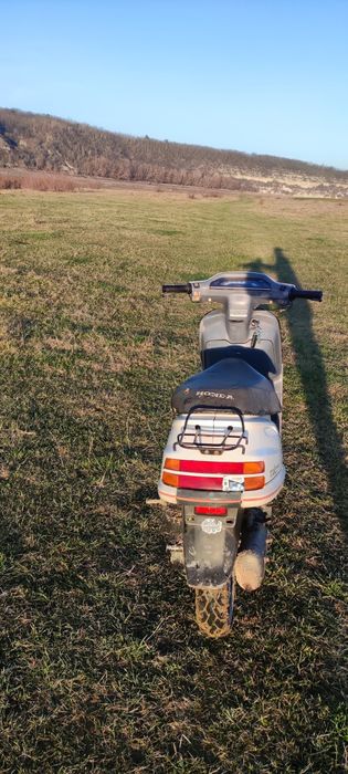 Honda Tact Af 24