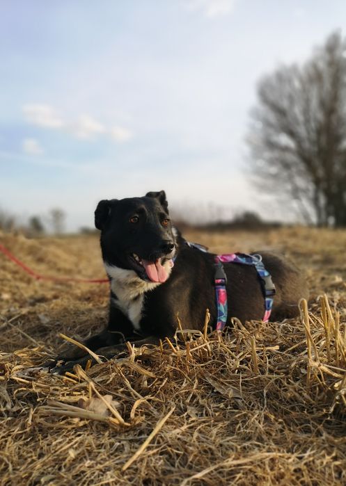 Zocha dla wyjątkowej osoby