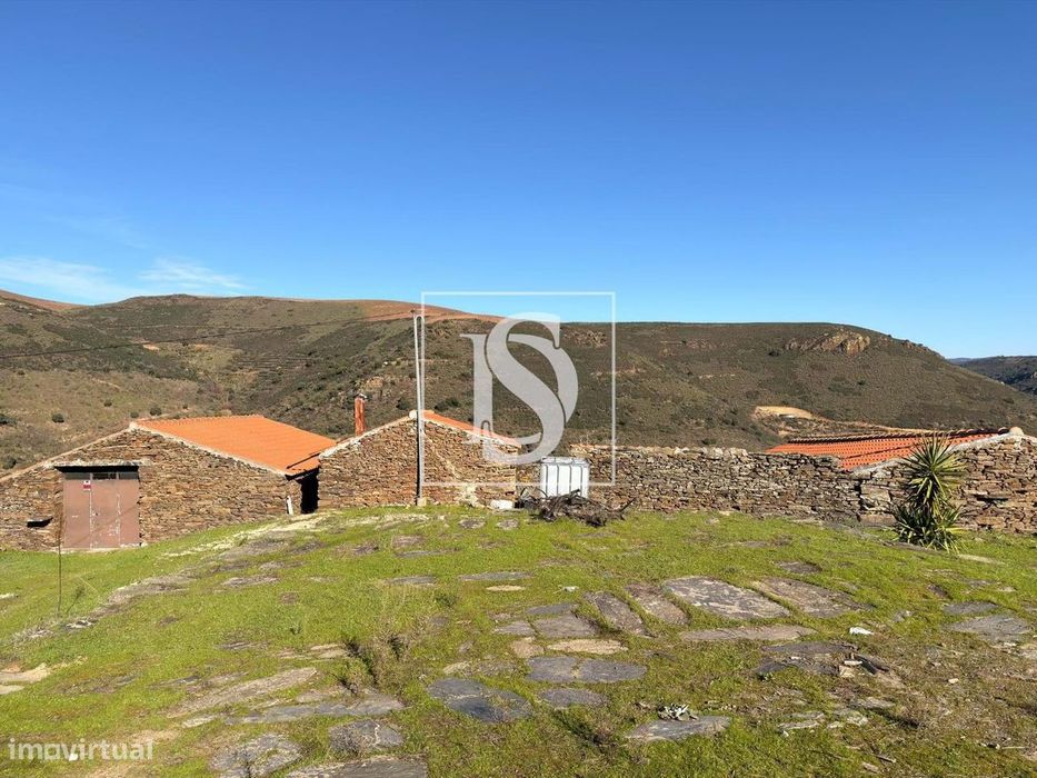 Quinta no Alto Douro | Propriedade com 20 Ha | Elevado Potencial de Va