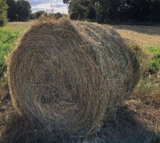 Продам круглі тюки
