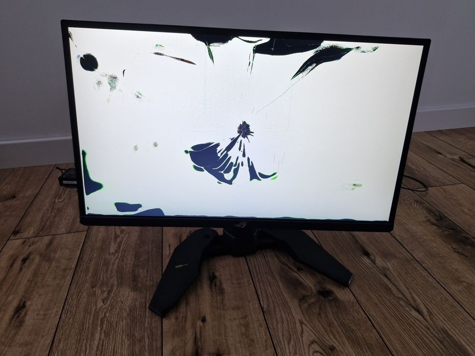 Monitor Asus Rog Swift Pro PG248QP uszkodzona matryca.