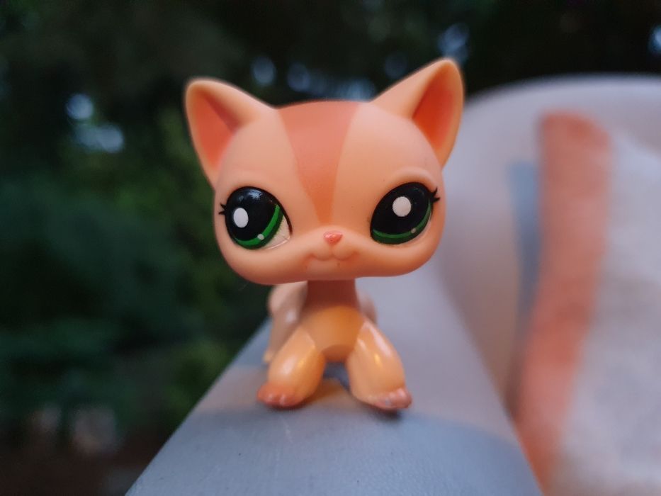 Lps 1764 shorthaired kotek cat