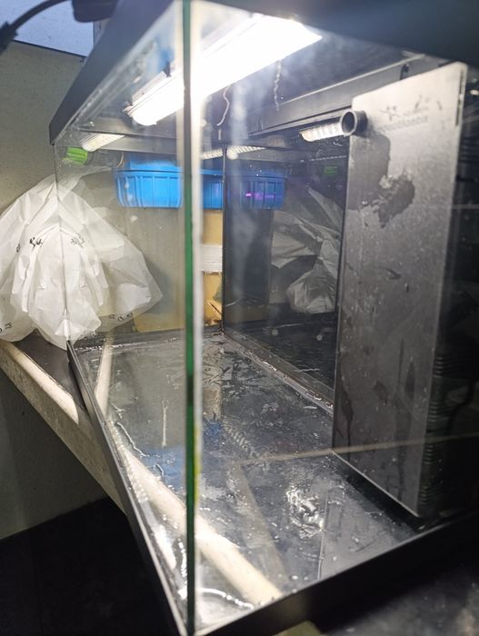 Aquário AquAtlantis