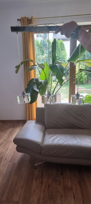Lampa wisząca szklana