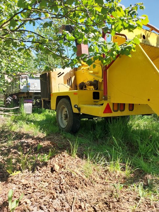 Usługa rębakiem i wycinka drzew