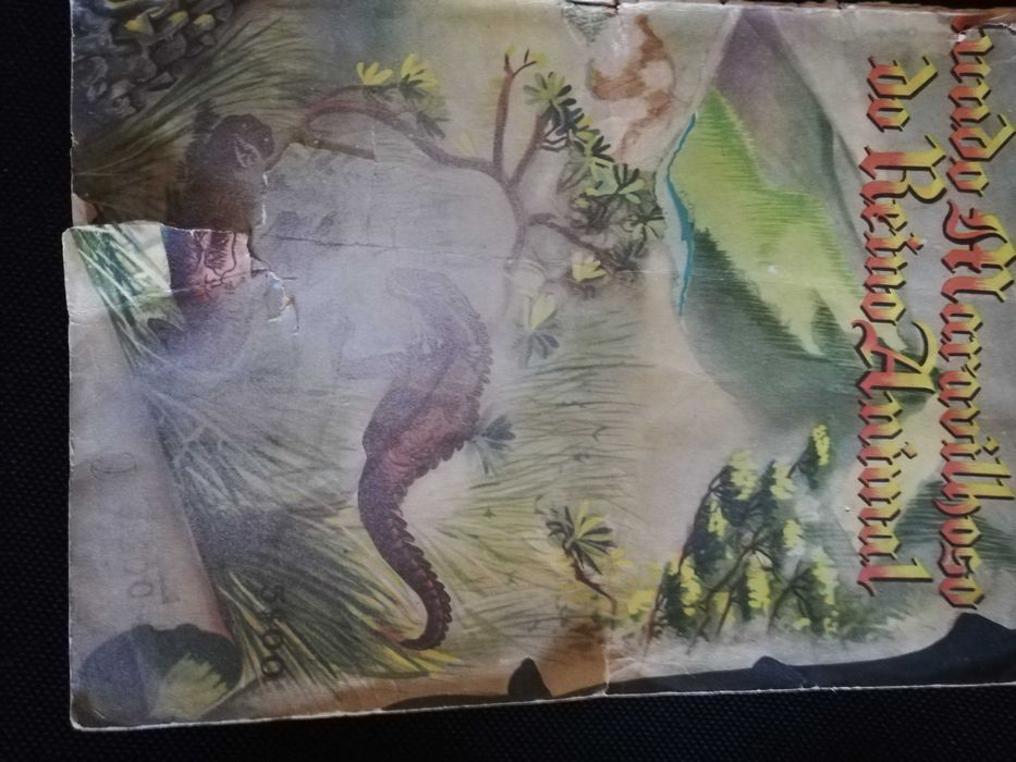 Cromos Mundo Maravilhoso do Reino Animal