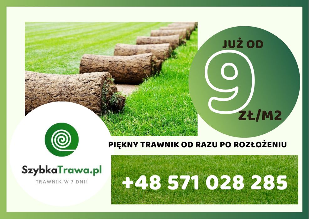 Trawa z rolki premium