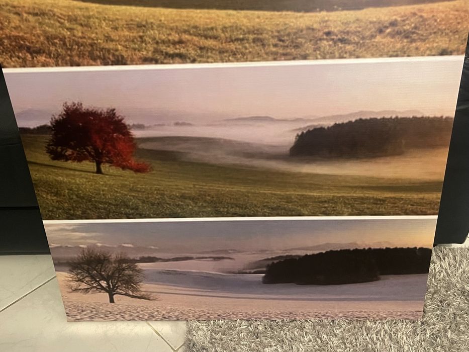 Tela 4 estacoes (mesmo local)