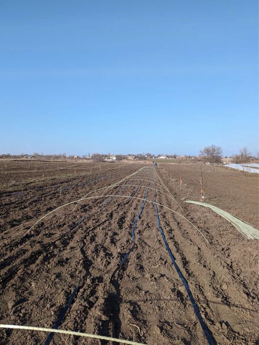 Опори для рослин Композитні Зелені Агро