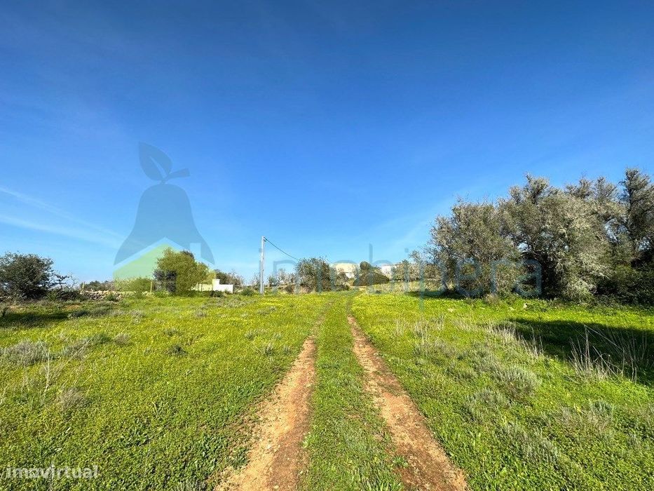 Terreno em Pera para projeto agricola ou investimento — Alcantarilha E Pêra, Faro