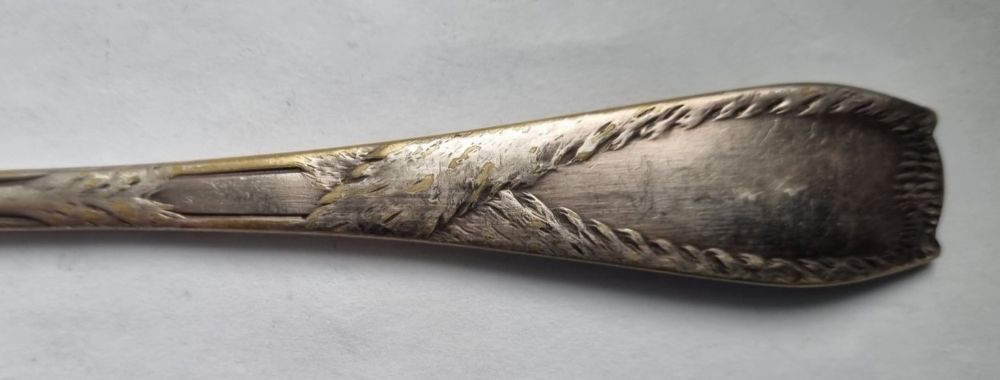 widelec do ryb ? Fraget dzik egipski