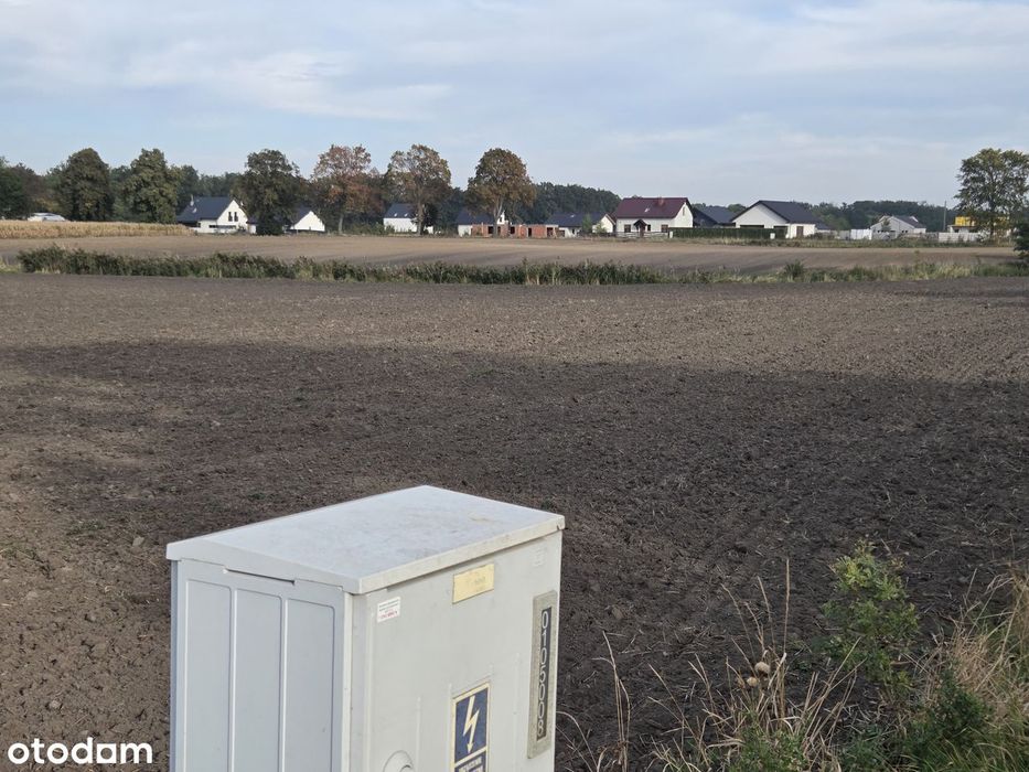 działka