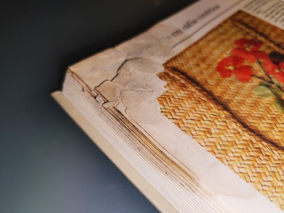 O grande livro ilustrado do artesanato e lavores