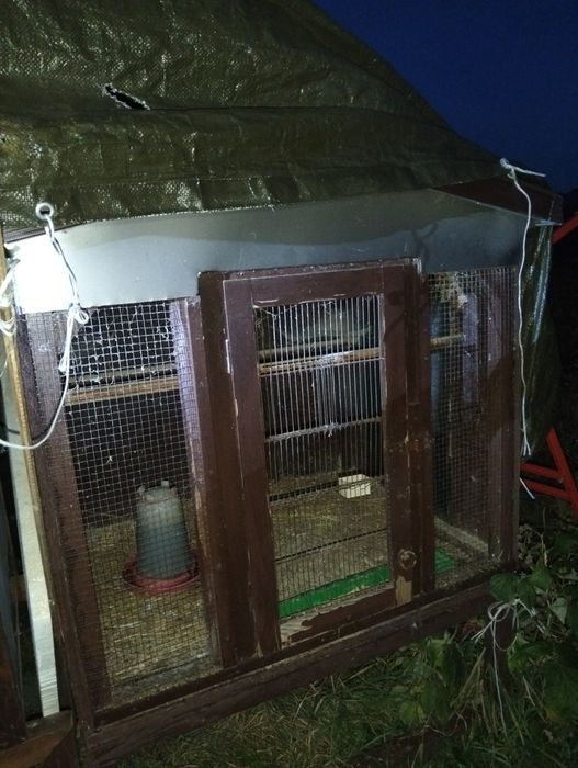 Klatki woliery dla papug gdrobiu przepiórek królików kur kurczakow