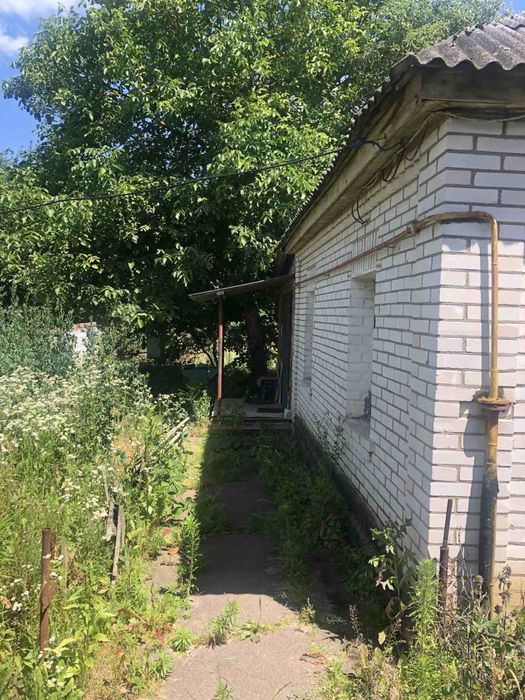 Продаж будинку в с Михаййлівка Броварський район