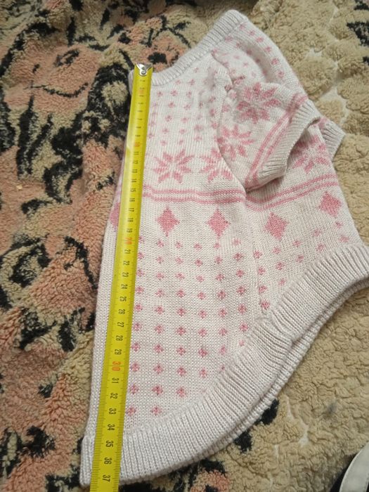 Одежда для собачки