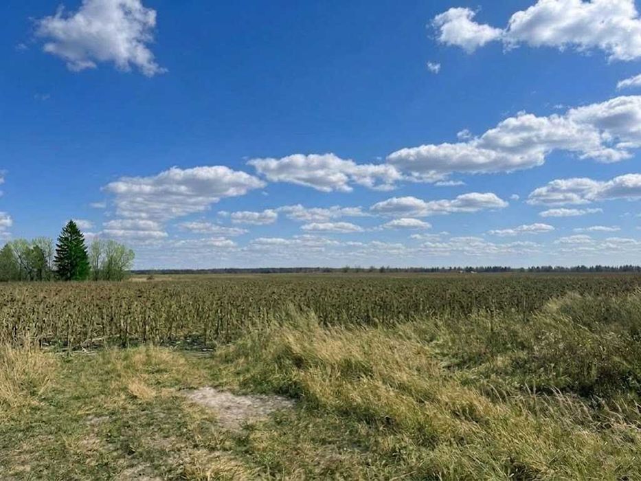 Продаж земельної ділянки 25 соток - ОСГ. Зручний заїзд. Біля лісосмуги. ID:607