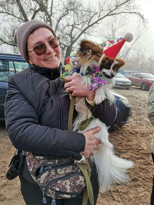 Ефективне Дресирування Собак Усіх Порід, дрессировка собак