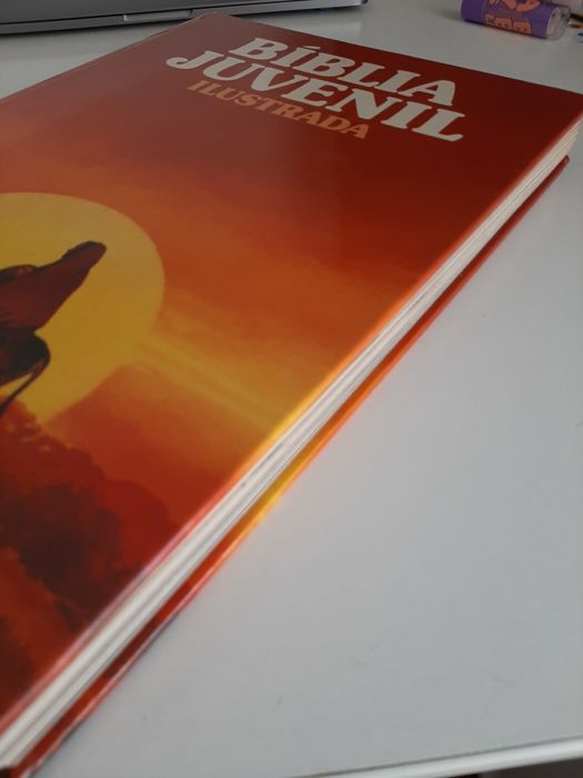 Bíblia Juvenil Ilustrada (portes incluídos)