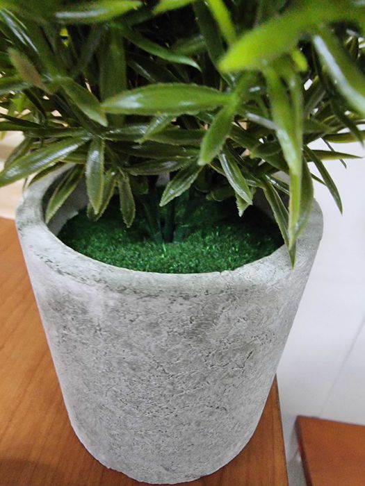 Sztuczne kwiaty Asparagus Kwiat zielony w gipsowej doniczce donicy