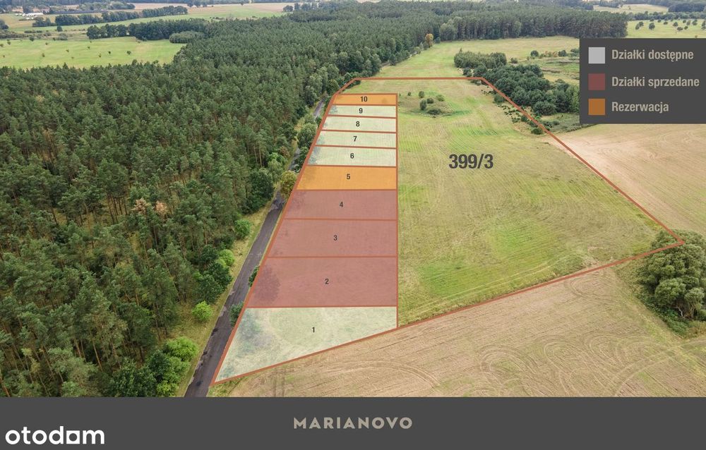 Działka budowlana ok. 1000 m² | Jezioro | Las | Plan ogólny