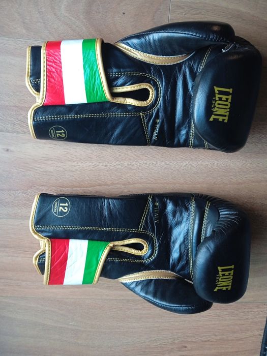 Luvas e caneleiras Kickboxing LEONE