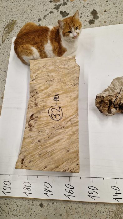 Nr42 Czeczota topoli plaster rzeźba 3D