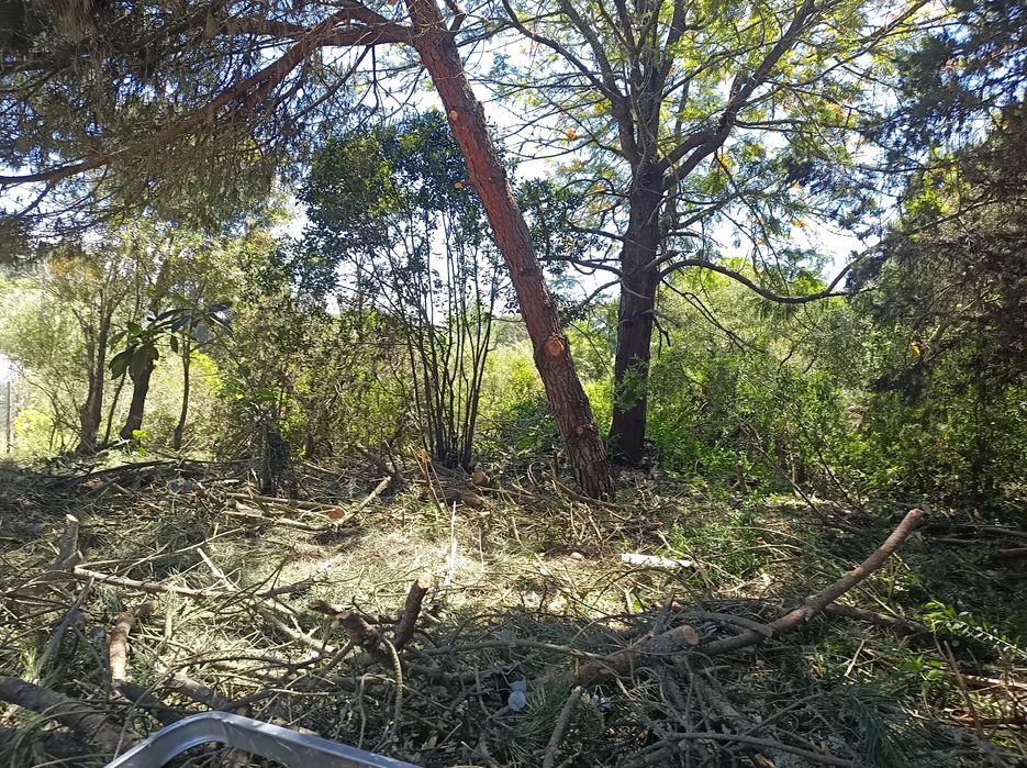 Prestação de vários serviços específicos, e gerais