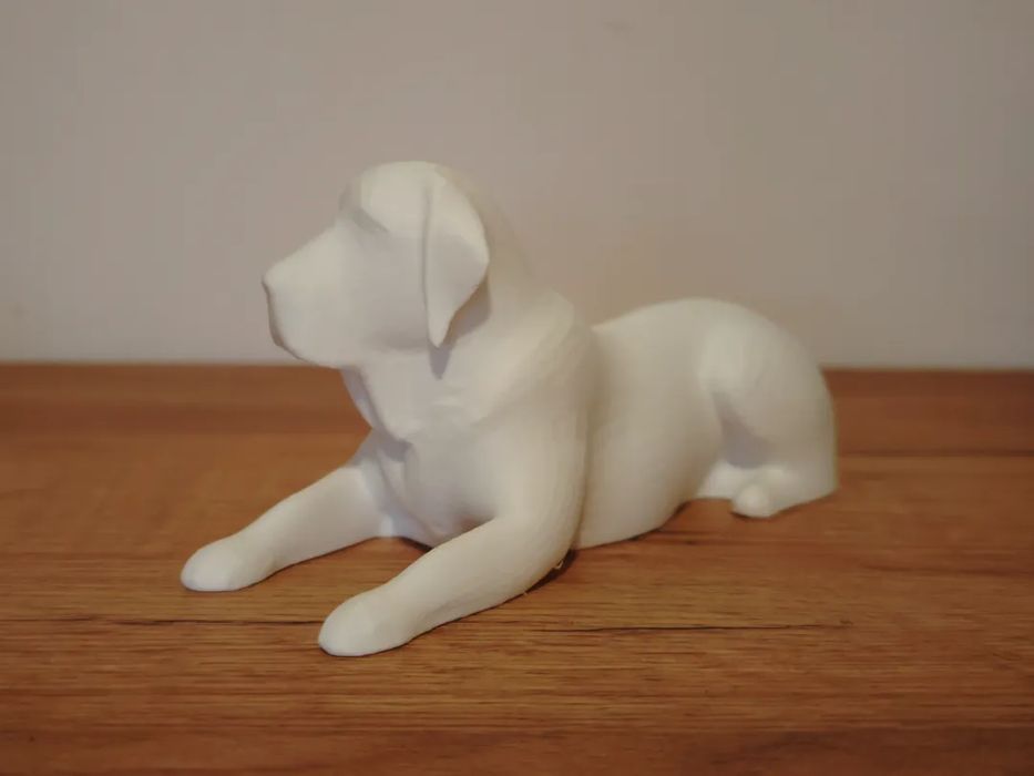 Miniature Labrador Dog