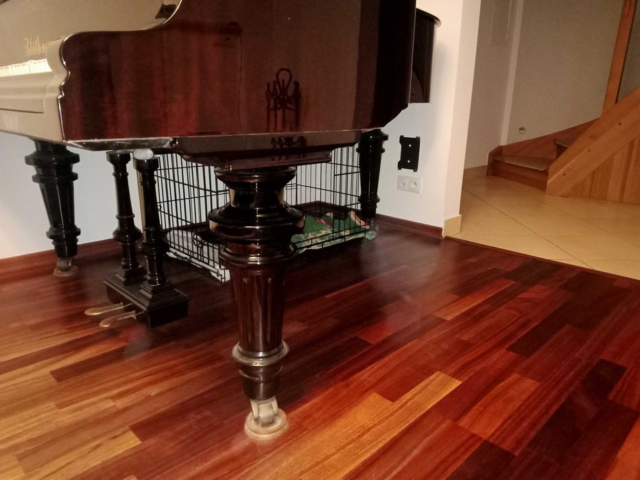 Sprzedam Fortepian Blüthner