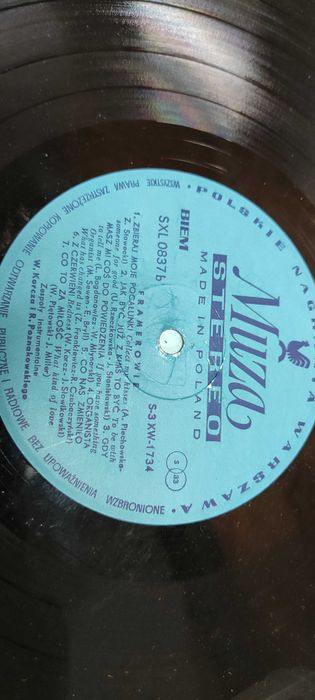 płyta winylowa Framerowie