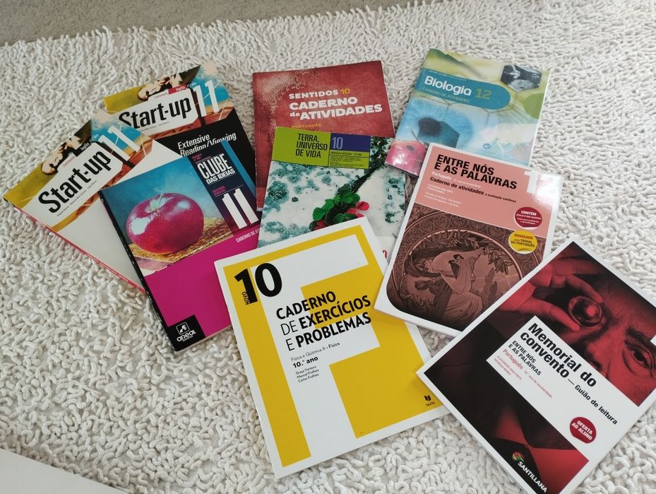 Cadernos de atividades 10,11 e 12 ano